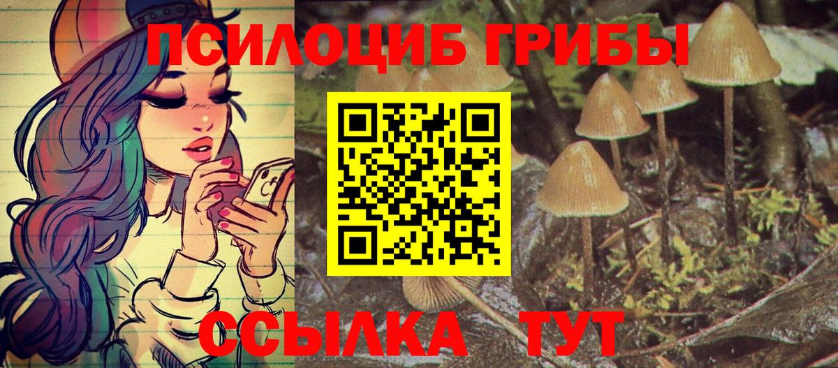 Псилоцибиновые грибы Cubensis Нижневартовск